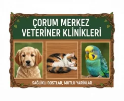 Merkez Veteriner Klinikleri