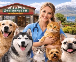 Damal Veteriner Klinikleri