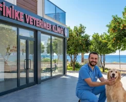 Finike Veteriner Klinikleri