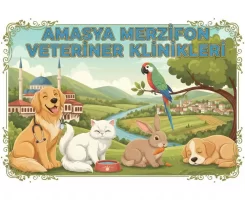 Merzifon Veteriner Klinikleri