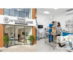 Of Veteriner Klinikleri