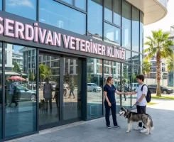 Serdivan Veteriner Klinikleri