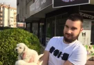 Kar Beyaz Irk Garantili Tea Cup Maltese Terrier Yavruları - Resim 4