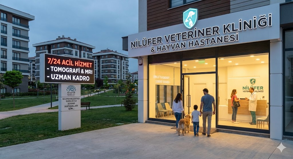 Nilüfer Veteriner Klinikleri