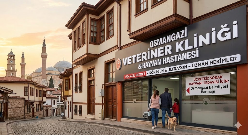 Osmangazi Veteriner Klinikleri
