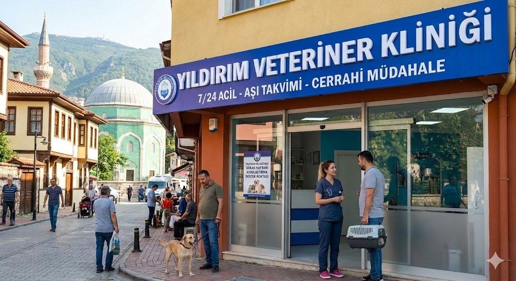 Yıldırım Veteriner Klinikleri