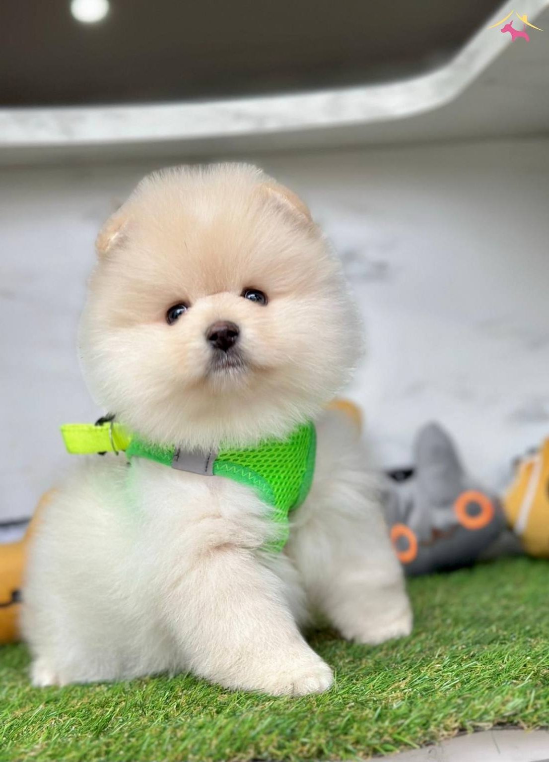 Minicik Bebek Surat Boo