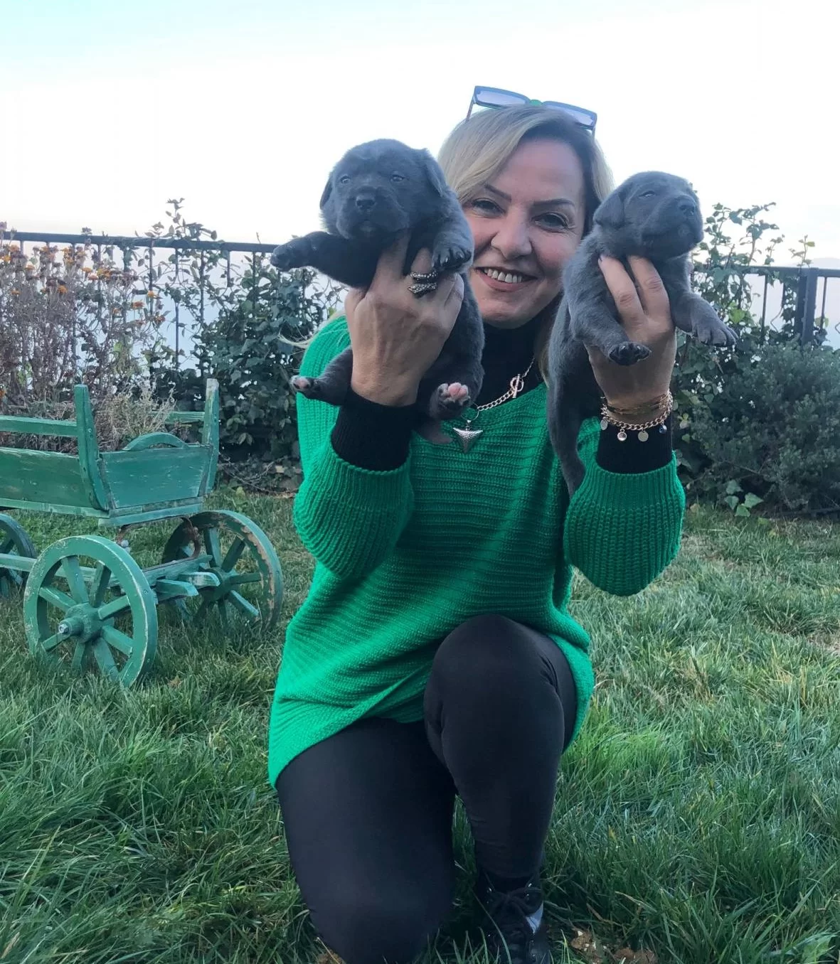 Muhtesem Blue Ve Siyah Cane Corso Yavrularımız