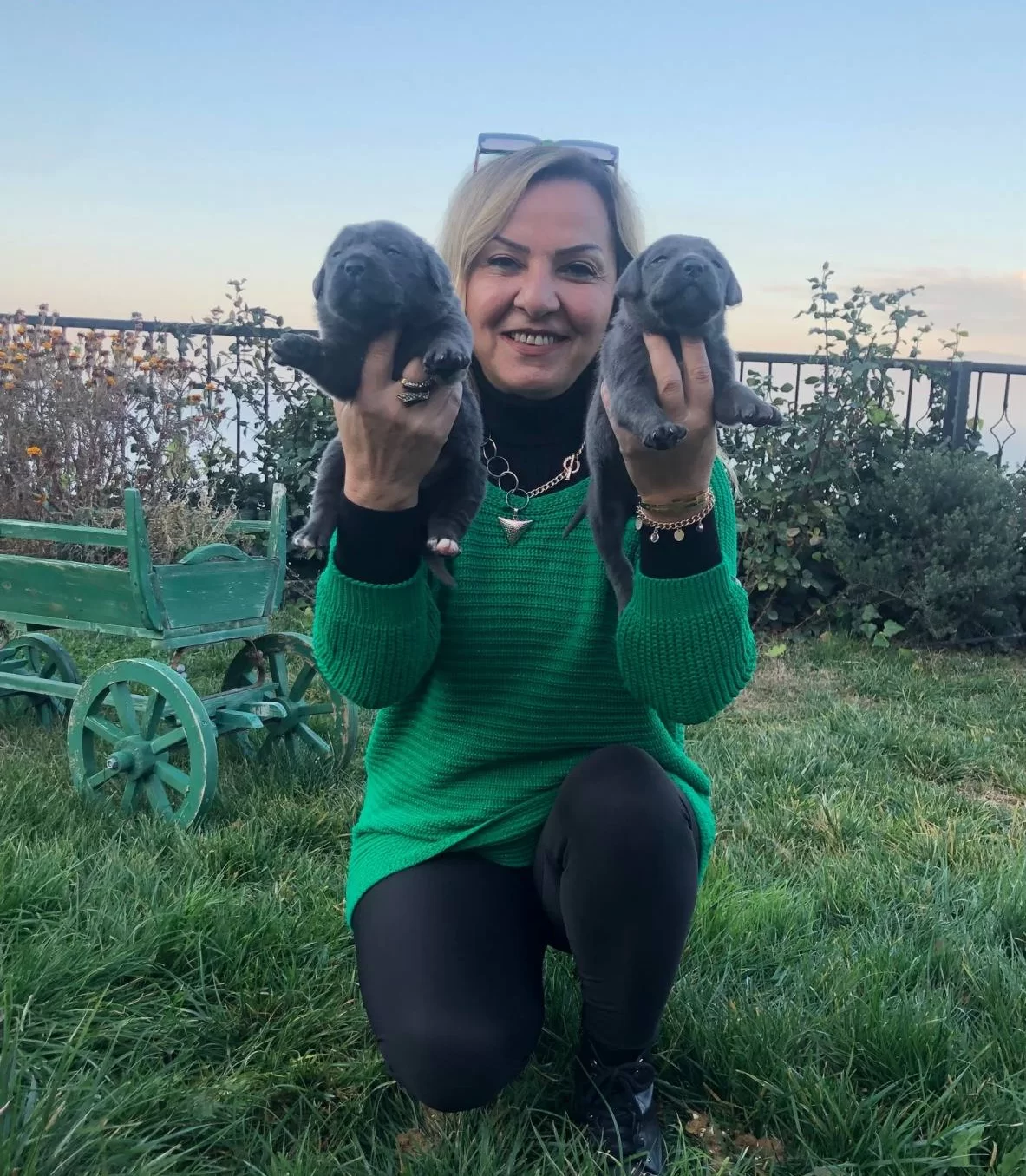 Muhtesem Blue Ve Siyah Cane Corso Yavrularımız