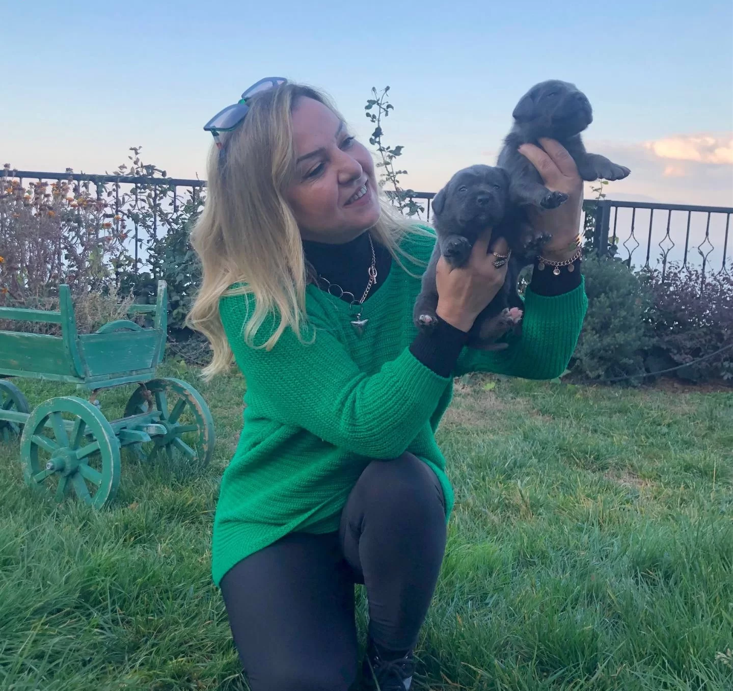 Muhtesem Blue Ve Siyah Cane Corso Yavrularımız