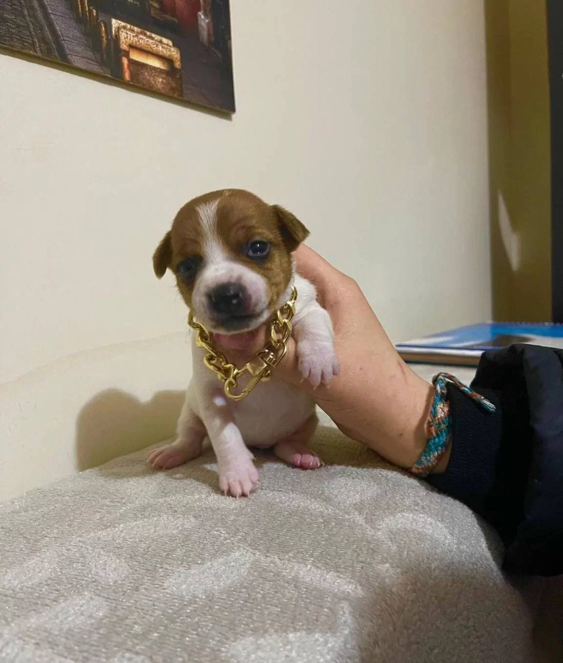 Bitmeyen Enerji Oyuncu Bebeklerim