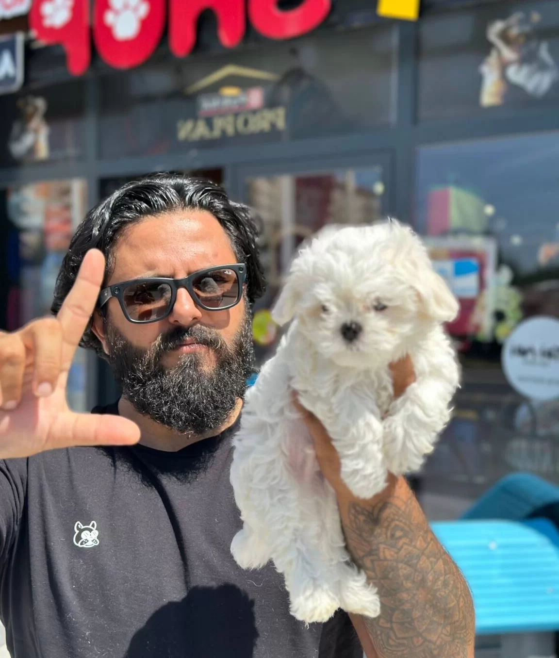 Cagrı Cemcemin Ozel Ayırdıgı Yavrular Arayınız