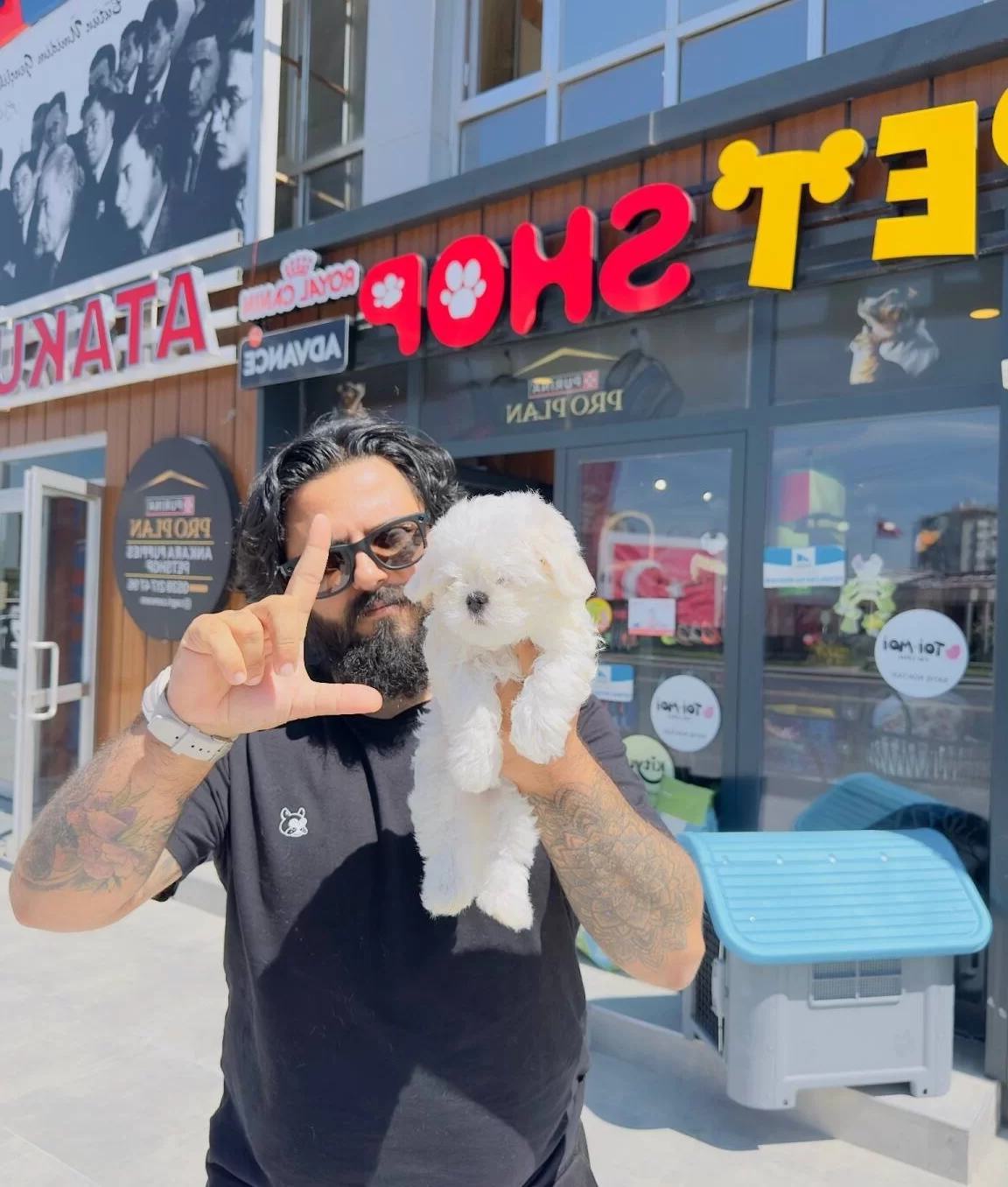 Cagrı Cemcemin Ozel Ayırdıgı Yavrular Arayınız