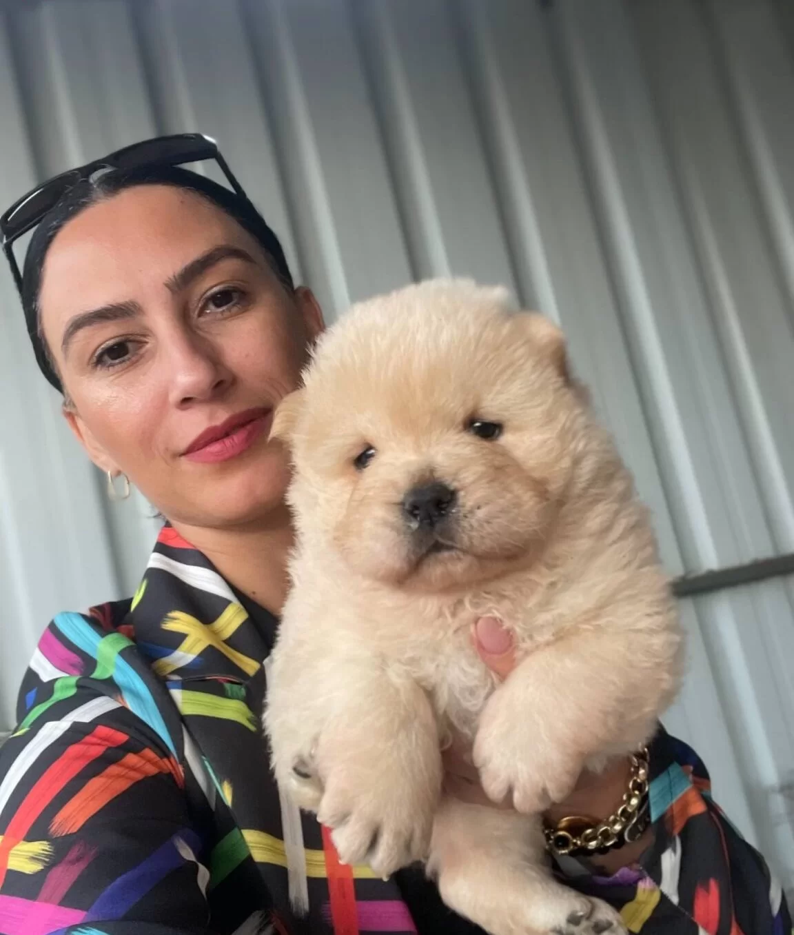 Chow Chow Yavrularım Saglık Ve Irk Garantilidir