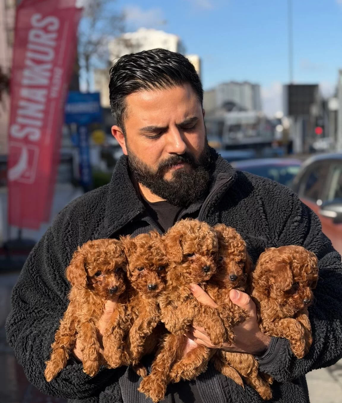 Ankarada Tek Pet Danısmanlıgından Toy Bebekler