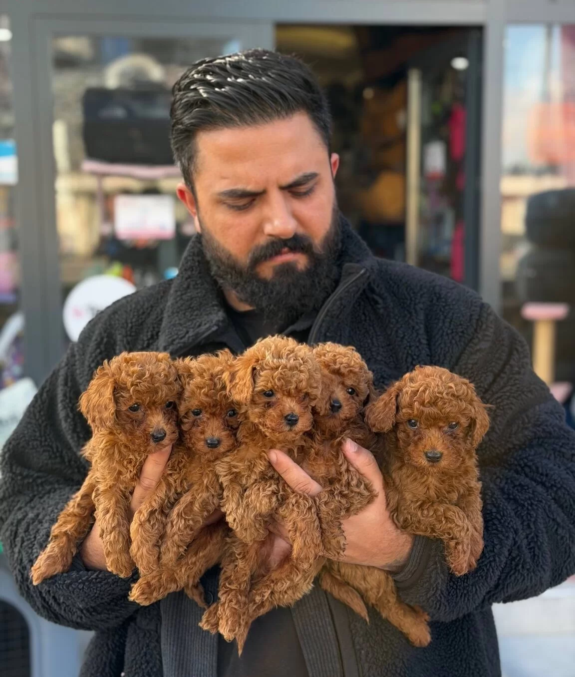 Ankarada Tek Pet Danısmanlıgından Toy Bebekler