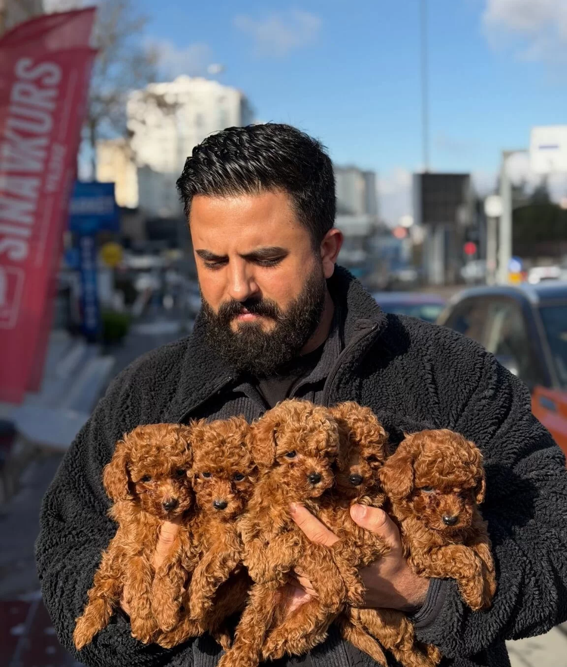 Ankarada Tek Pet Danısmanlıgından Toy Bebekler