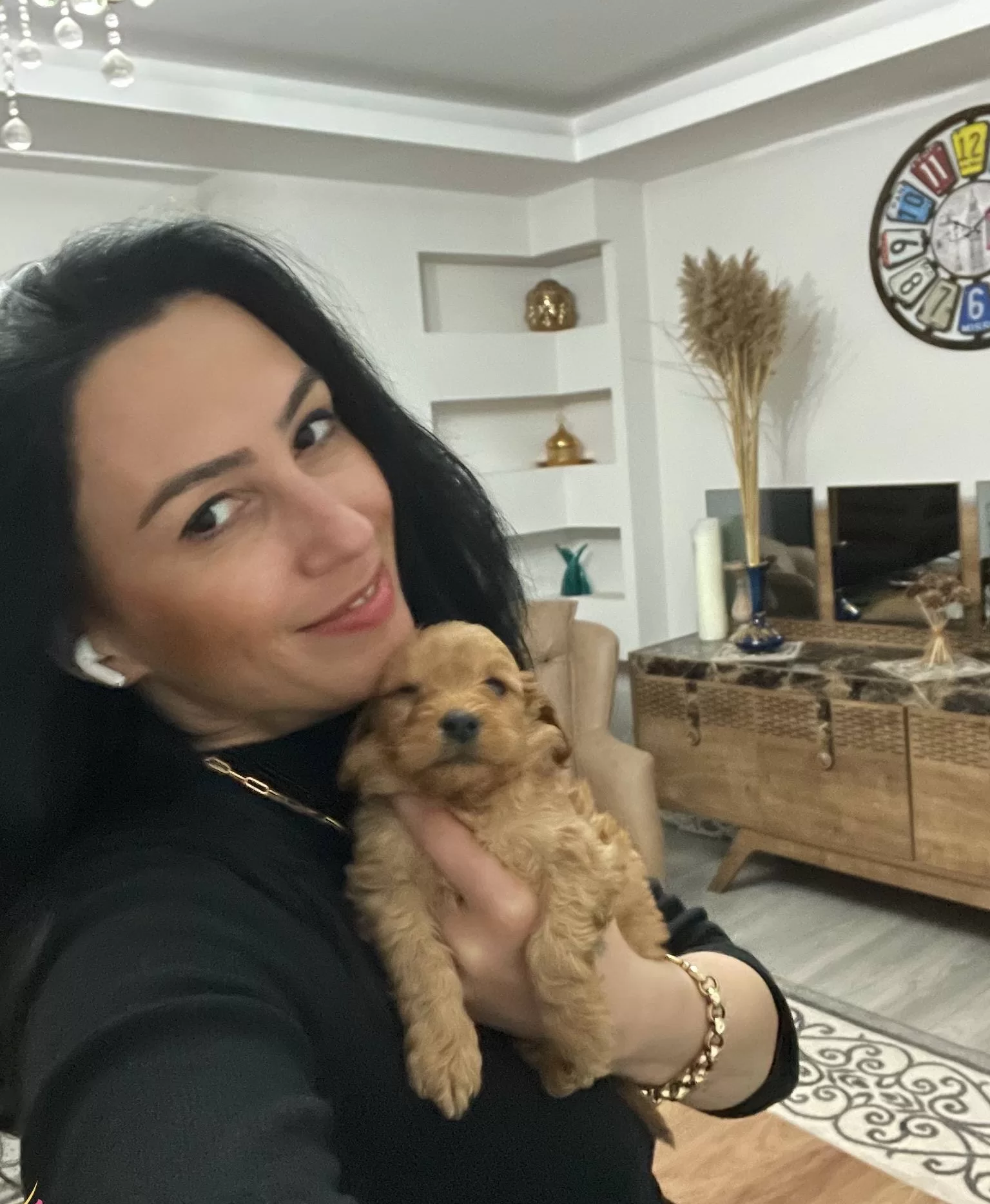 Maltipoo Ev Uretimi Yavrularım Saglık Ve Irk Garantilidir