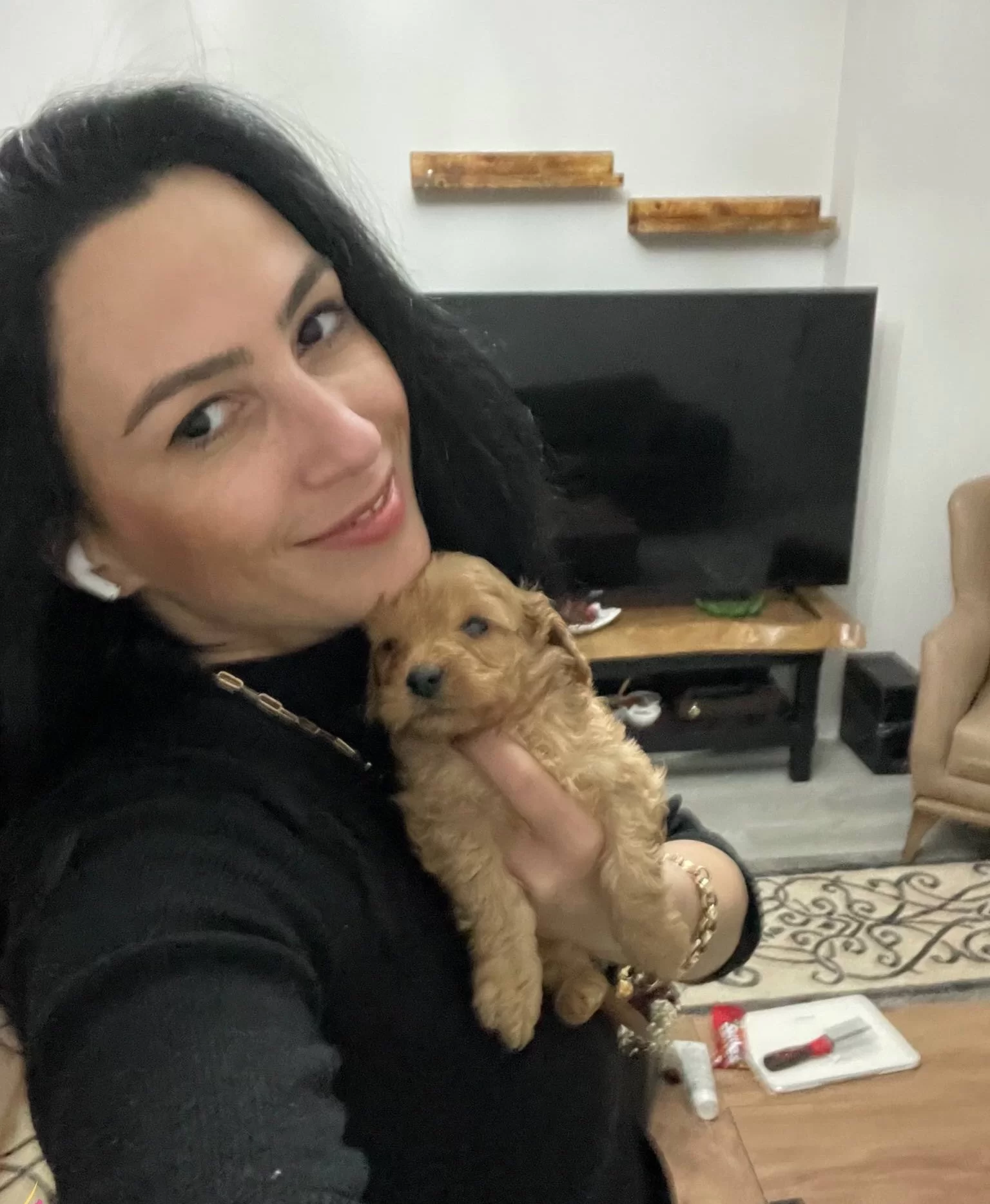 Maltipoo Ev Uretimi Yavrularım Saglık Ve Irk Garantilidir