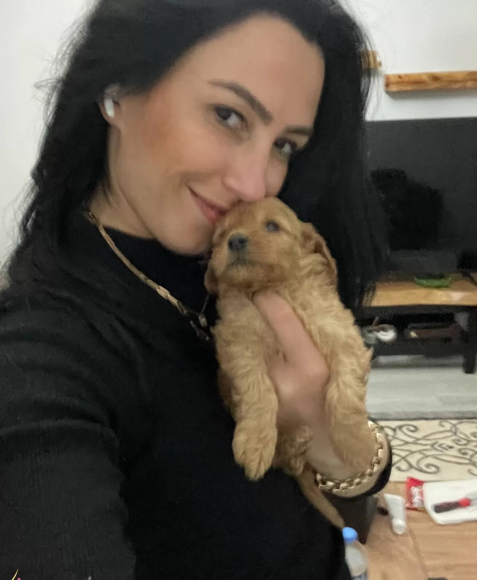 Maltipoo Ev Uretimi Yavrularım Saglık Ve Irk Garantilidir