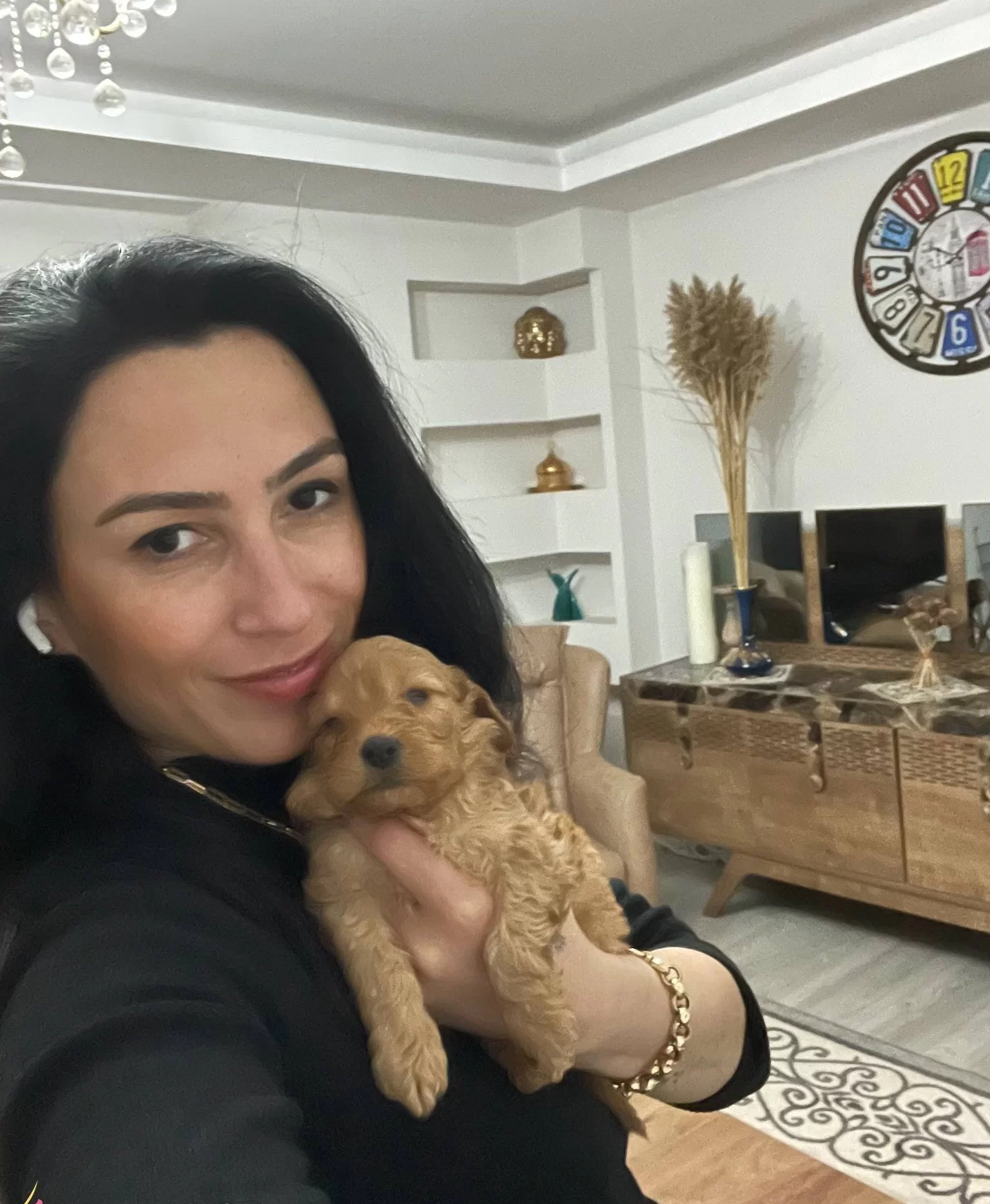 Maltipoo Ev Uretimi Yavrularım Saglık Ve Irk Garantilidir