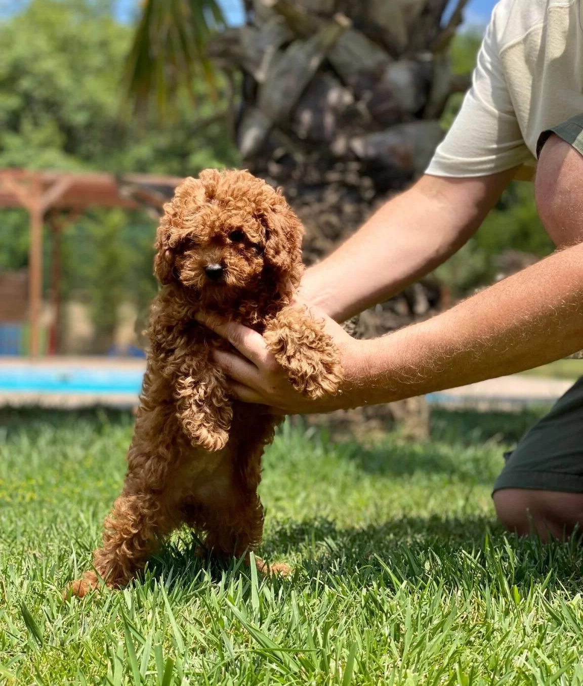 Mutlu Patiler Ruhsatli Ciflikte Sizleri Bekliyor