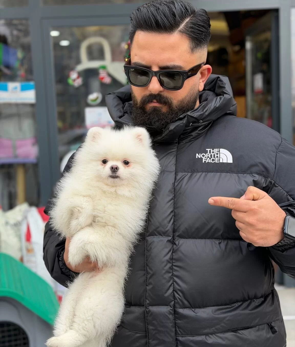 Ankara Cankayada Ayıcık Suratlı Beyaz Pomeranian Boo