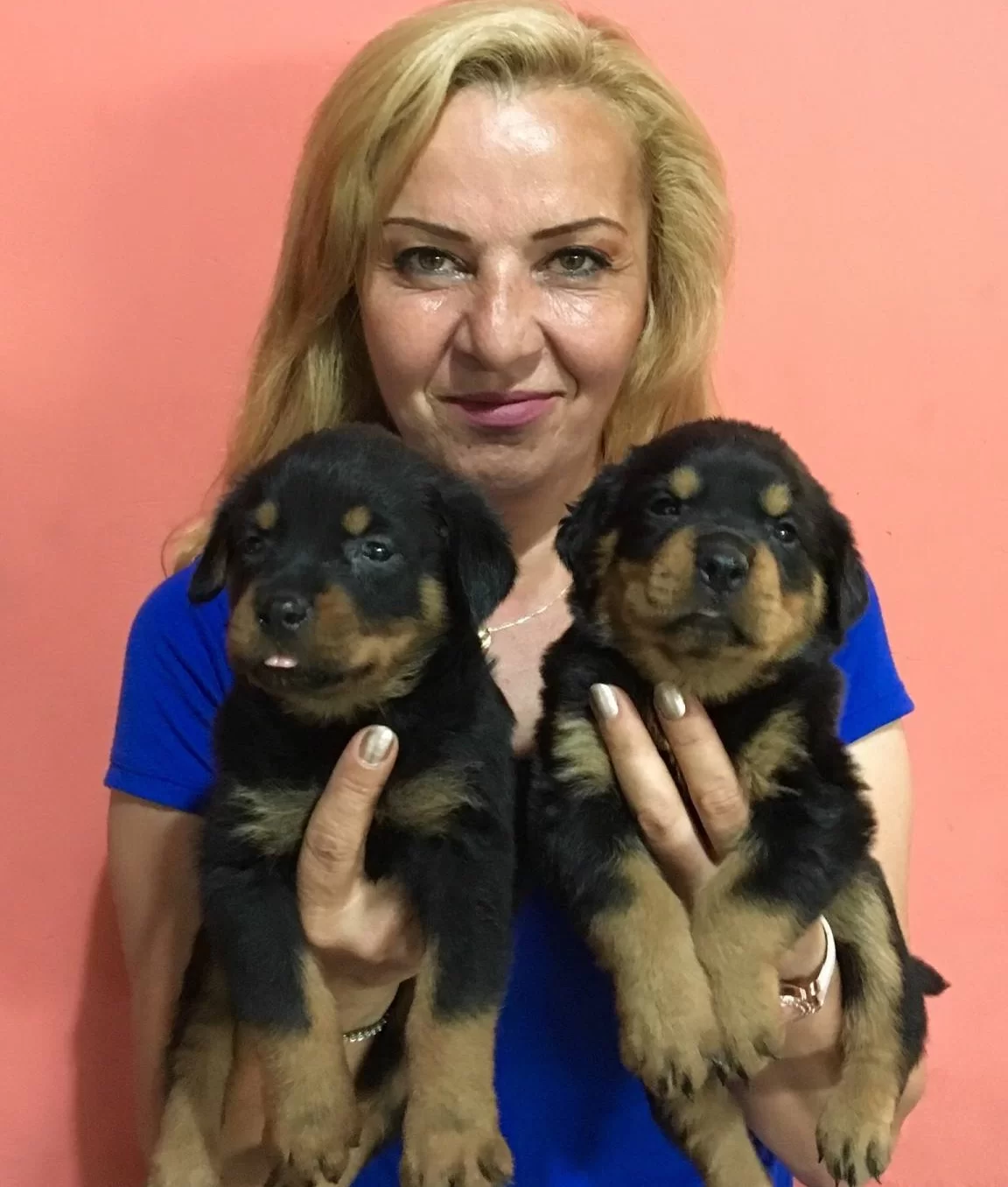 Muhteşem Koca Kafa Rotweiller Yavrularımız