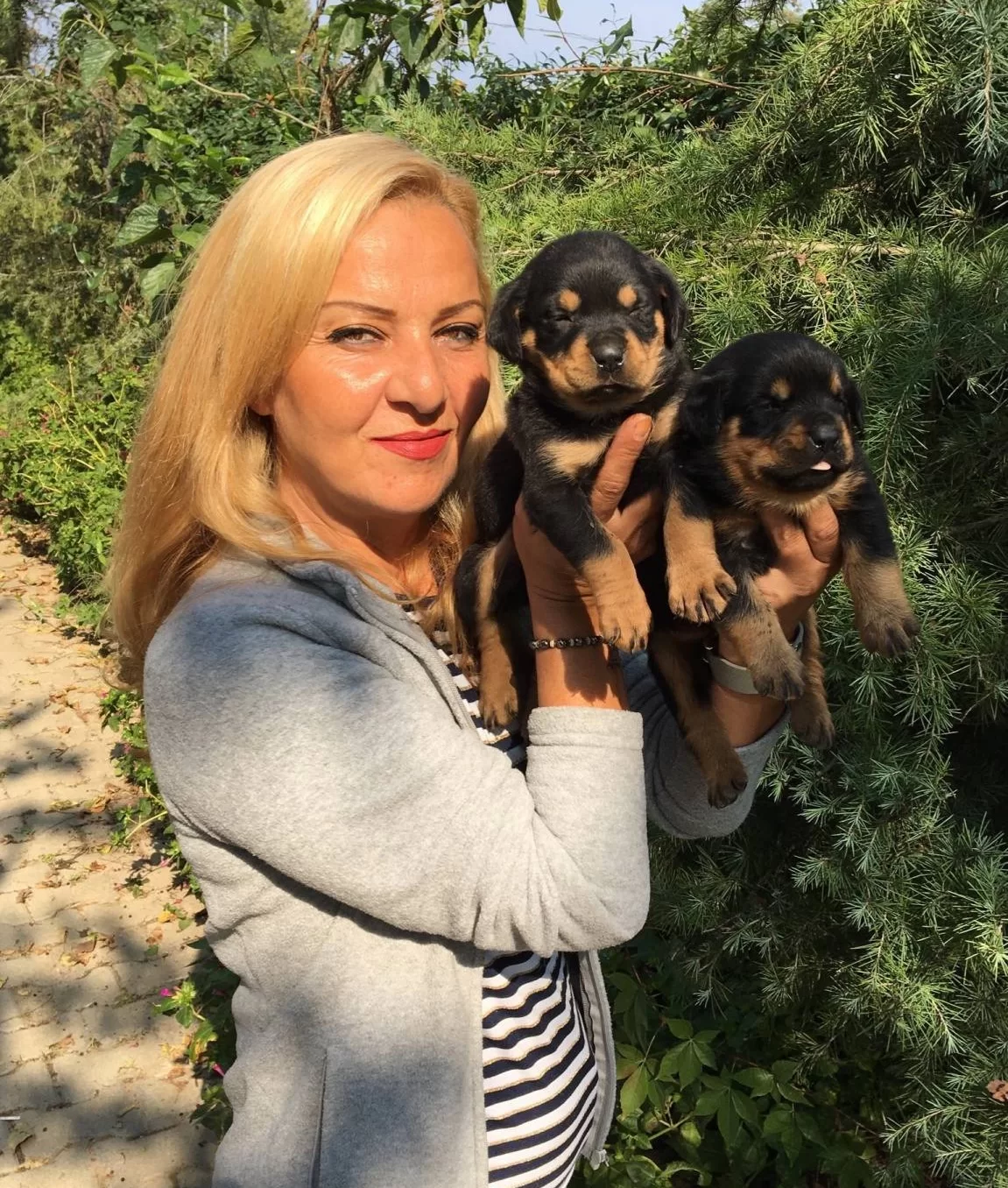Koca Kafa Muhteşem Rottweiler Yavrularımız
