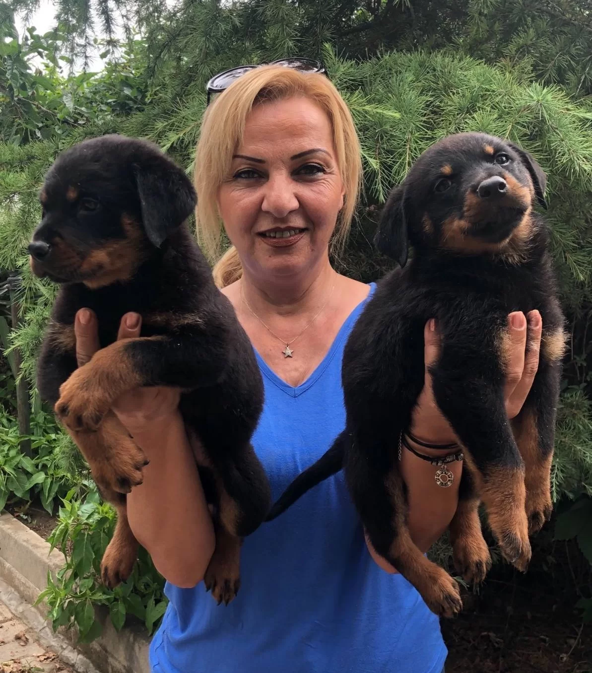 Muhteşem Koca Kafa Rottweiler Yavrularımız