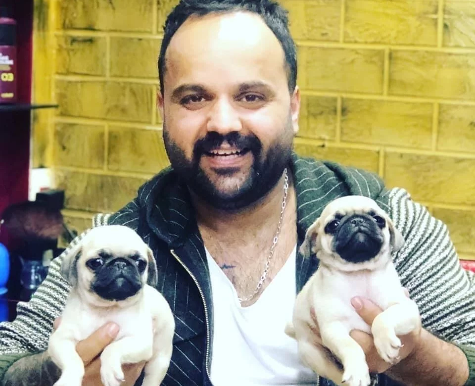 Orijinal Safkan Pug Yavrularımız Mevcut