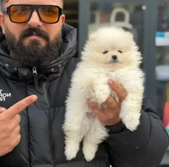 Ankara Nın En Guzeli Bal Surat