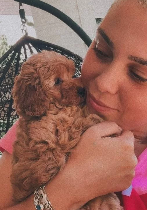 Evdogumu Toypoodle Bebisler