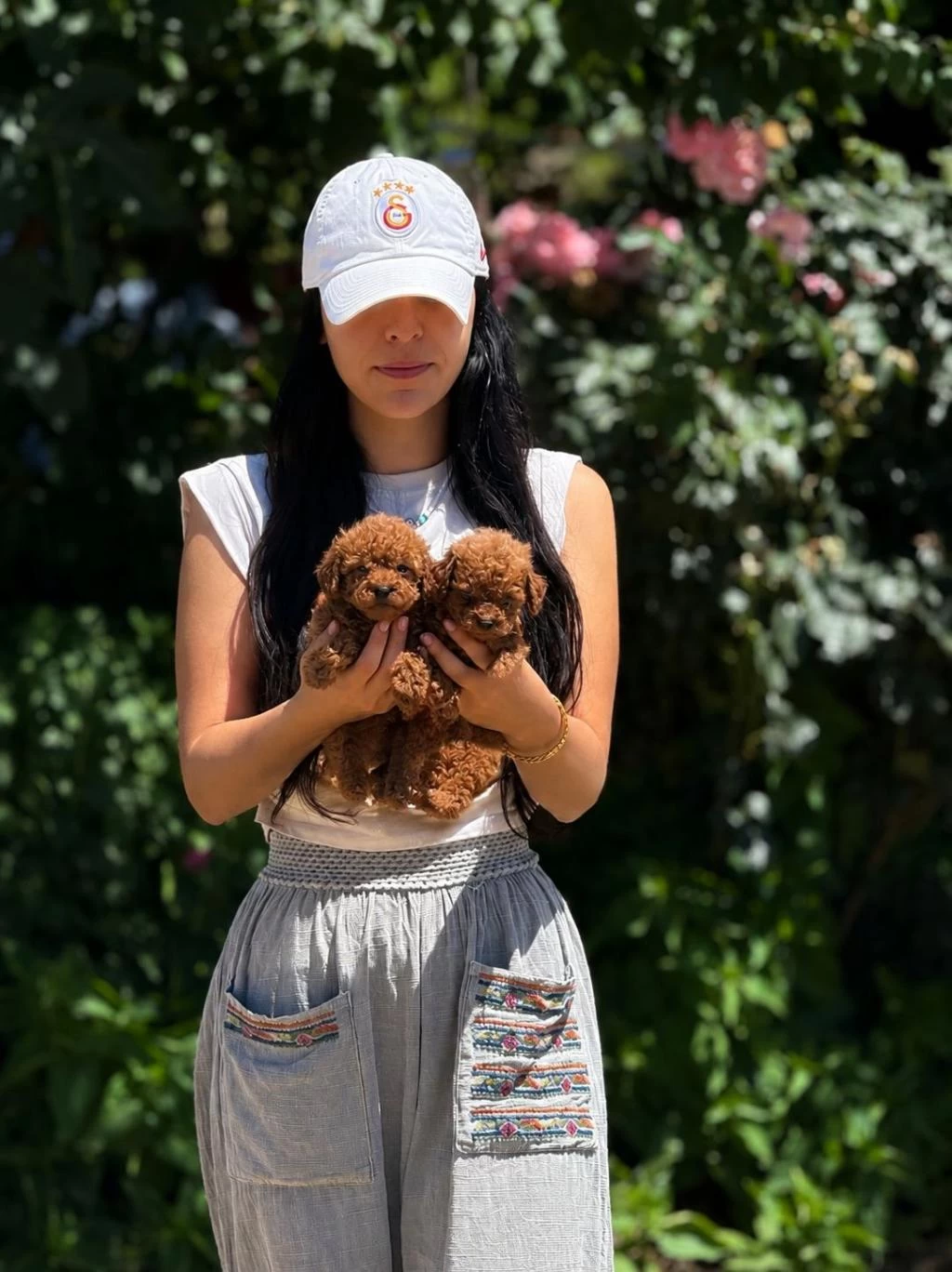 Teacup Korea Poodle Aşili Eğitimli