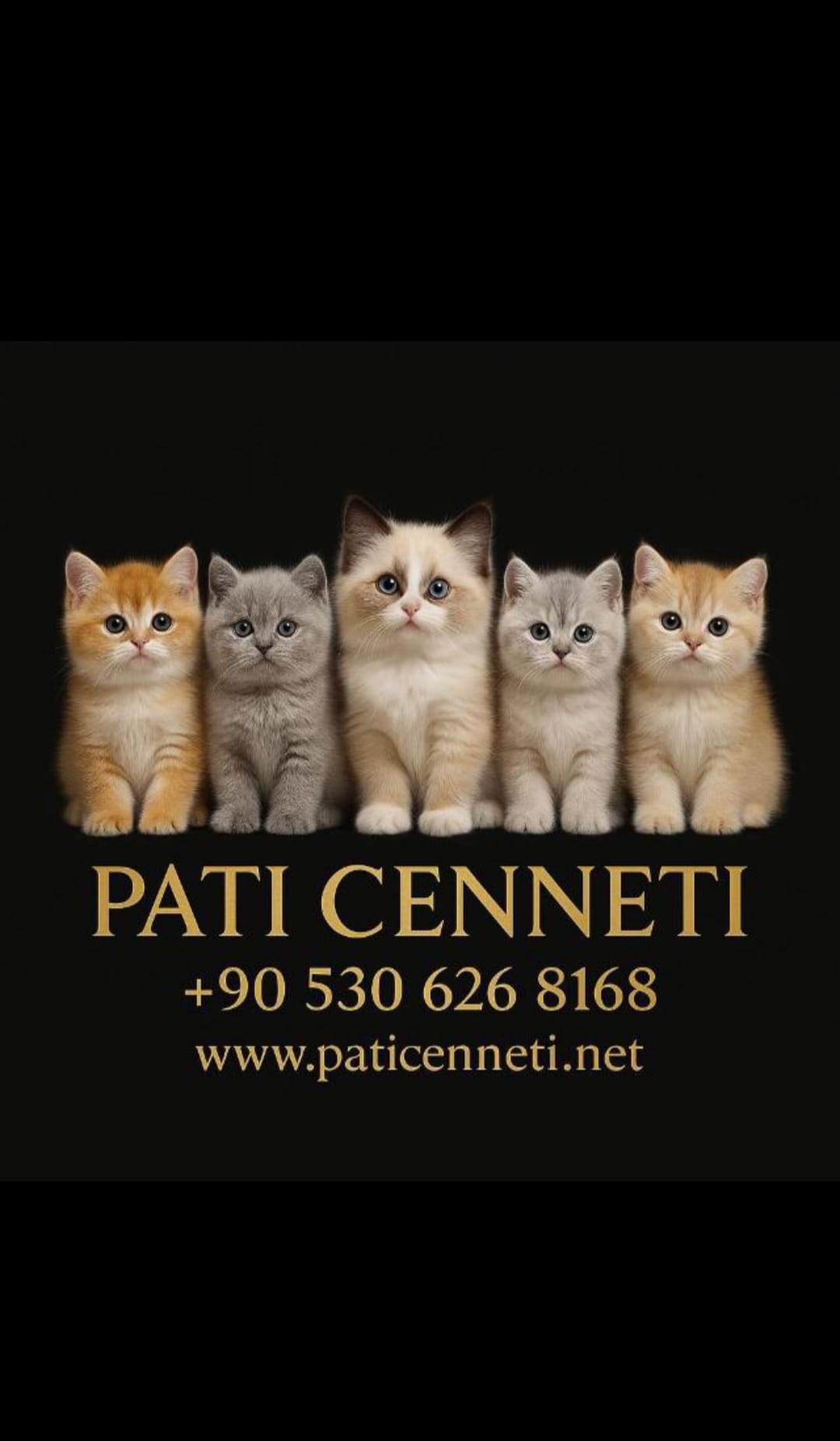 Pati Cenneti