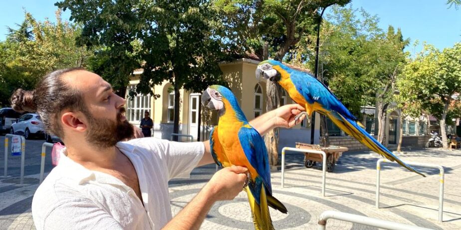 Eği̇ti̇mli̇ Konuşan Macaw Papağanimiz