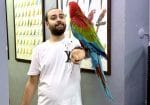 Üst Düzey Evcil Kırmızı Ara Macaw Papağanımız