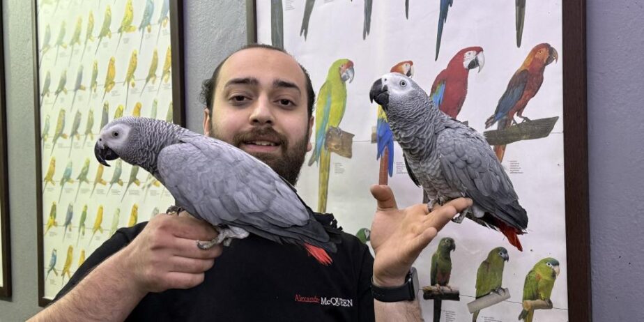 200 Keli̇me Konuşan Jako Papağanimiz