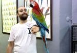Üst Düzey Evcil Kırmızı Ara Macaw Papağanımız