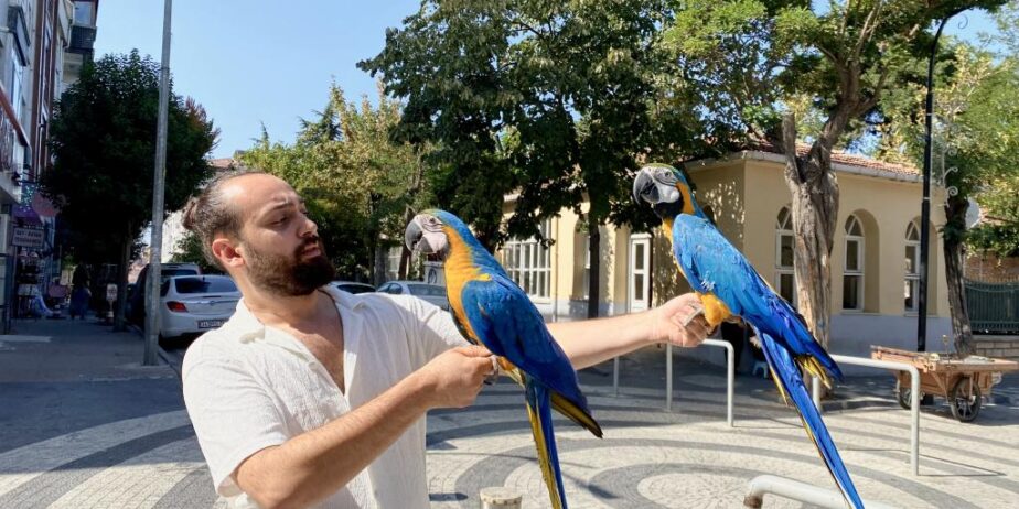 Eği̇ti̇mli̇ Konuşan Macaw Papağanimiz