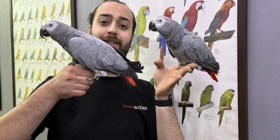 200 Keli̇me Konuşan Jako Papağanimiz
