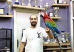 Üst Düzey Evcil Kırmızı Ara Macaw Papağanımız