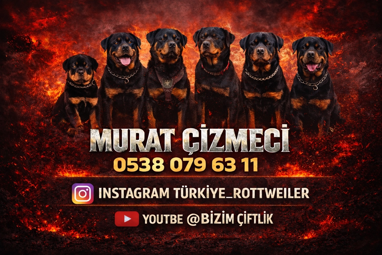 Murat Çizmeci - Profil Fotoğrafı