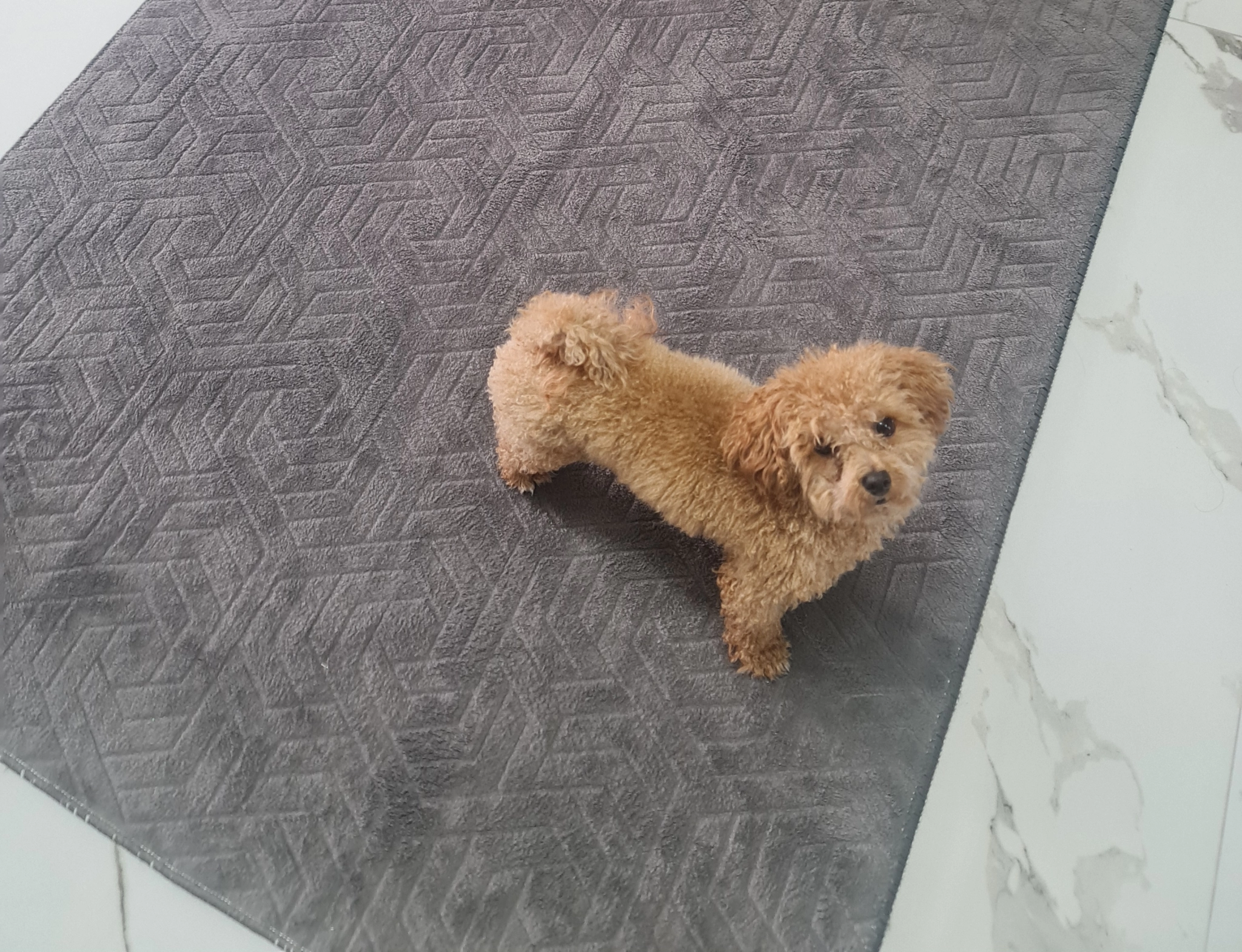 Nuray Özlalek - Profil Fotoğrafı