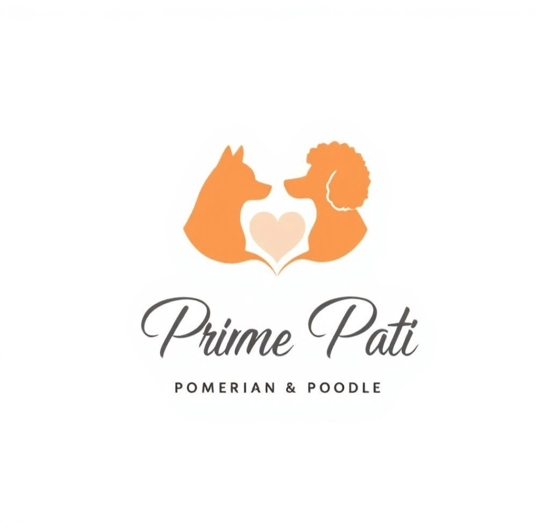 Prime Pati - Profil Fotoğrafı