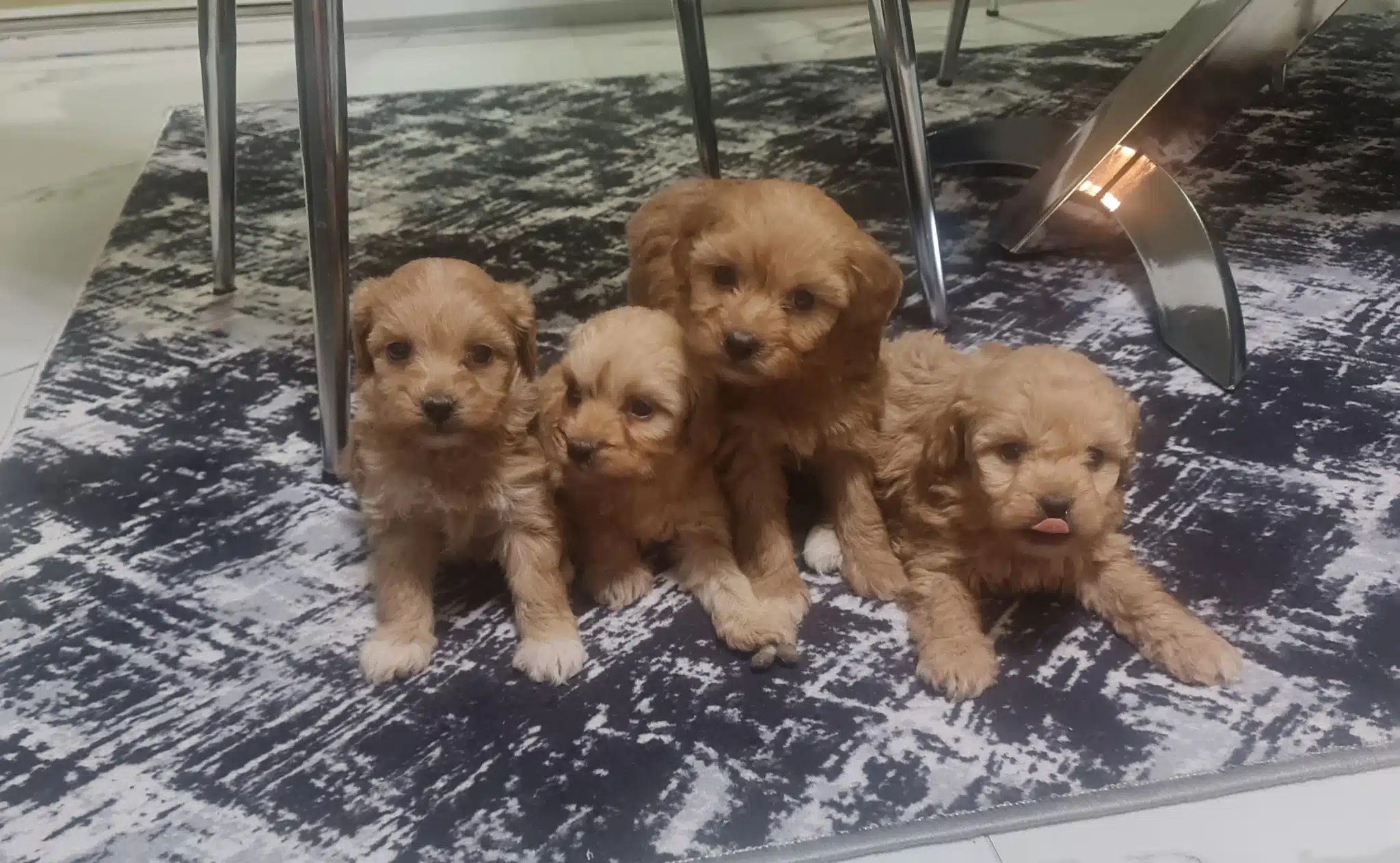 Minyatür Minnaklarım Teslime Hazır