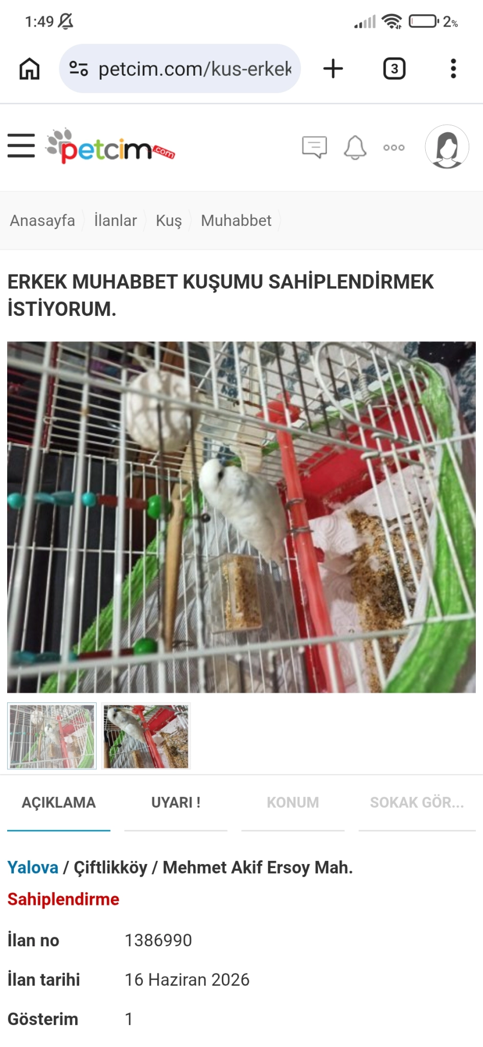 Pamuk Ogluma Ev Ariyoruz